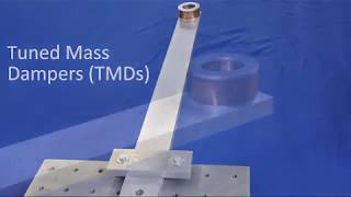 Tuned Mass Damper [upl. by Sholes184]