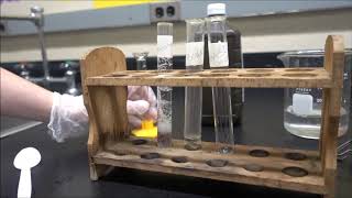 Investigating Enzymes in Liver [upl. by Durston798]