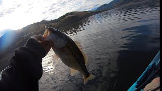 Lake Kaweah Spotted Bass [upl. by Moya]