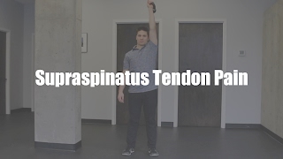 Supraspinatus Tendon Pain Exercises [upl. by Tarrant]