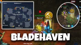 Bladehaven Yellow Ore amp Herb Spots  MIR4 [upl. by Yeclek452]