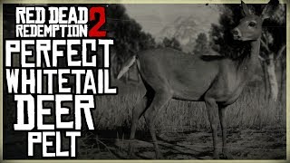 HOW TO GET A PERFECT SHEEP HIDE  RED DEAD REDEMPTION 2 PRISTINE MERINO SHEEP HUNT [upl. by Braun777]