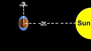 Space Science Tutorial Spring and Neap Tides [upl. by Abbate]