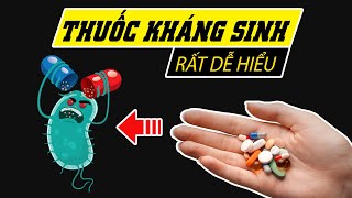 Hiểu rõ về thuốc Kháng sinh chỉ trong 5 phút [upl. by Page]