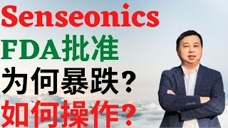 Dr Mike Invest 投资频道美股343 Senseonics FDA批准 为何暴跌 该如何操作 SENS [upl. by Anayk313]