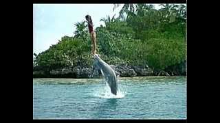 Lisa Jakub swimming Bermuda Triangle [upl. by Obrien]