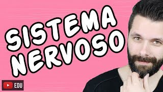 SISTEMA NERVOSO  FISIOLOGIA  Aula  Biologia com Samuel Cunha [upl. by Eneluqcaj905]