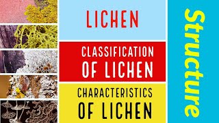 Lichen  Features of Lichen  Types of Lichen  Structure of Lichen  Uses of Lichen  लाइकेन [upl. by Egrog719]