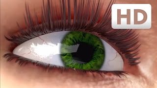 How eyelashes grow  Nanolash® eyelash serum Explainer Video [upl. by Trab]