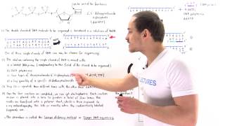 Sanger Sequencing of DNA [upl. by Litton895]