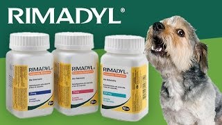 Rimadyl for Dogs [upl. by Shulamith]