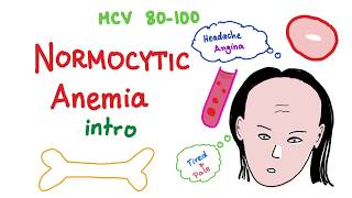 Normocytic Anemia Intro [upl. by Eam]