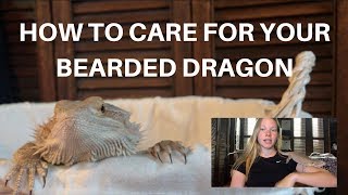 HOW TO CARE FOR YOUR BEARDED DRAGON  A BEGINNERS GUIDE [upl. by Healy654]