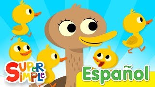 Cinco Patitos  Canciones Infantiles  Super Simple Español [upl. by Annohsak]