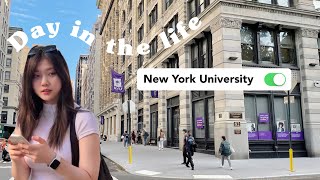 a day in the life of an  NYU student [upl. by Nitsed]