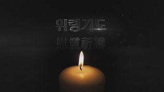 위령기도 慰靈祈禱  짧은 버전 [upl. by Shayne227]