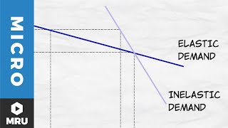 Elasticity of Demand [upl. by Campy]