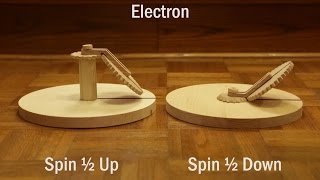 Demonstration of Spin 12 [upl. by Arannahs]