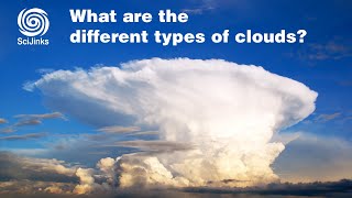 What Are the Different Types of Clouds [upl. by Erinna]