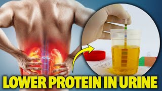 How To Lower Protein in urine Proteinuria amp Improve Kidney Health amp Kidney Function [upl. by Jezabella]