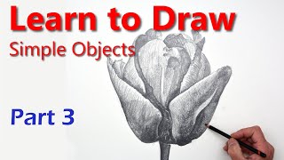 Fascinating Method for Drawing a Beautiful Tulip Convincingly in Pencil Drawing Basics PART 3 [upl. by Neelear993]