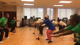 Strength Training Workout for Older Adults [upl. by Nace]