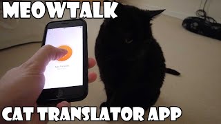 Meow Talk Cat Translator App [upl. by Leftwich204]