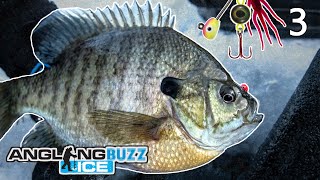 Ice Fishing Bluegill Catching Big Ones [upl. by Mit816]