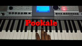 I  Pookkalae Sattru Oyivedungal Video  A R Rahman Vikram  Shankar [upl. by Adoree]