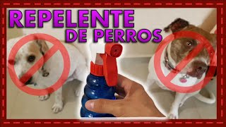 ¿Cómo Mantener a tu Perro Lejos de Lugares Prohibidos [upl. by Moseley]