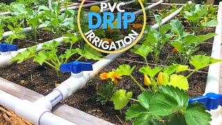 PVC Drip Irrigation System  EASY DIY [upl. by Batish68]