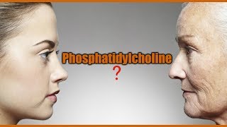 Phosphatidylcholine Lecithin Lesser Known AntiAging and Memory Supplements [upl. by Biddy40]