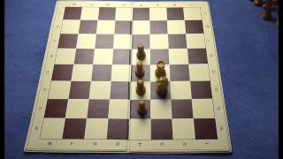 Schach lernen in 30 Minuten [upl. by Maurer]