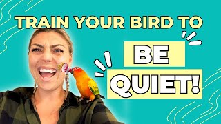 How to get your Sun Conure to BE QUIET [upl. by Lednyk]