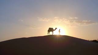 Suján The Serai  Jaisalmer Rajasthan [upl. by O'Kelly]