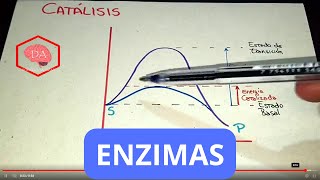 ENZIMAS Bioquímica fácil y sencilla [upl. by Arag398]