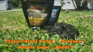 Ep1 Mycorrhizal Fungi  Biochar  Double GoodRight [upl. by Saxet]