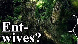 What happened to the Entwives Ents amp Fangorn Forest Lore  LotR Lore amp Tolkiens Lore [upl. by Shargel]