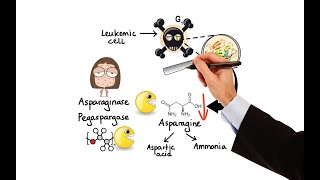 Pharmacology  CANCER DRUGS  HORMONAL THERAPY MADE EASY [upl. by Studdard16]