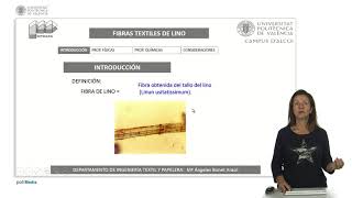 Fibra textil lino  1728  UPV [upl. by Wavell407]