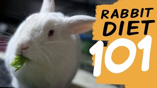 EVERYTHING You Need To Know About a Rabbit Diet [upl. by Abercromby]