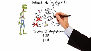 Pharmacology  ADRENERGIC RECEPTORS amp AGONISTS MADE EASY [upl. by Bodnar989]