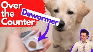 Over the Counter Dog Dewormer Dr Dan talks dewormers [upl. by Wiltz]