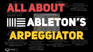 All About Abletons Arpeggiator [upl. by Asilak]