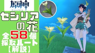 【原神】誰よりもわかりやすくセシリアの花50個＋8個すべての採取ルートを解説する！／Cecilia collect route【Genshin Impact】 [upl. by Compton]