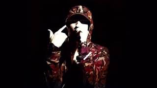 Eminem  Won’t Back Down feat Pnk Instrumental [upl. by Acinoed]