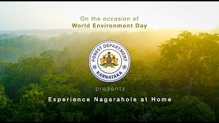 Experience Nagarahole at Home [upl. by Gally]