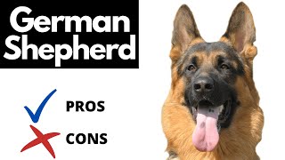 German Shepherd Pros And Cons SHOCKING [upl. by Yrreiht]