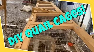 Quail farming  Homemade quail cages [upl. by Gnort579]