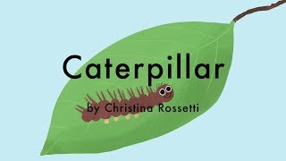 Caterpillar by Christina Rossetti  A Childrens Poem [upl. by Elleinet]